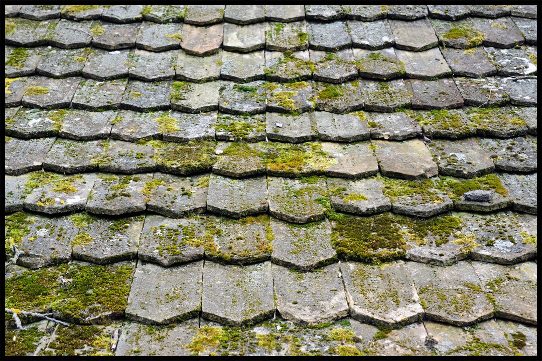 Springtime Roof Maintenance