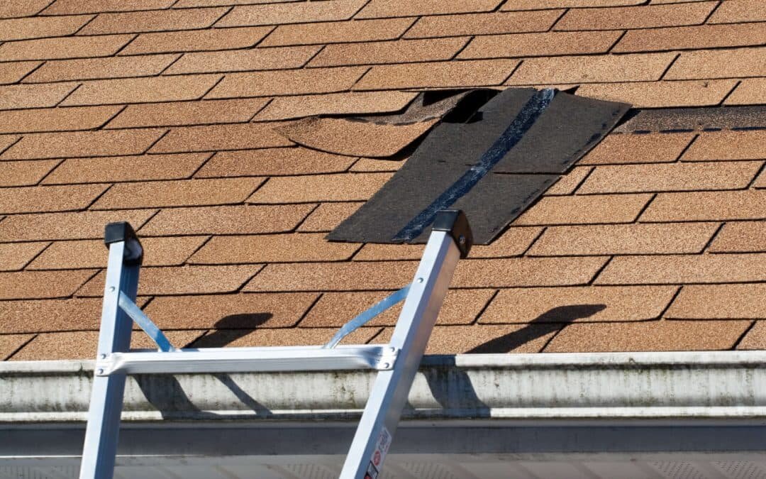 Roof Wind Damage: How It Happens and How to Deal with It