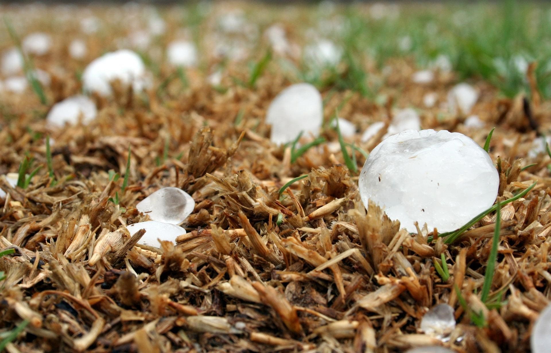 Hailstorm can damage your roof