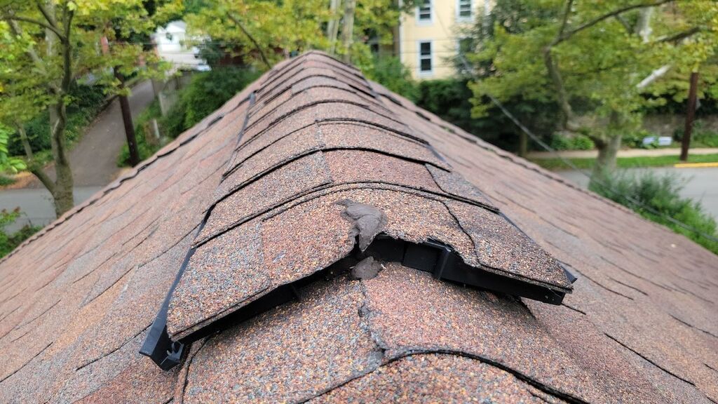 DIY roof repair mistake