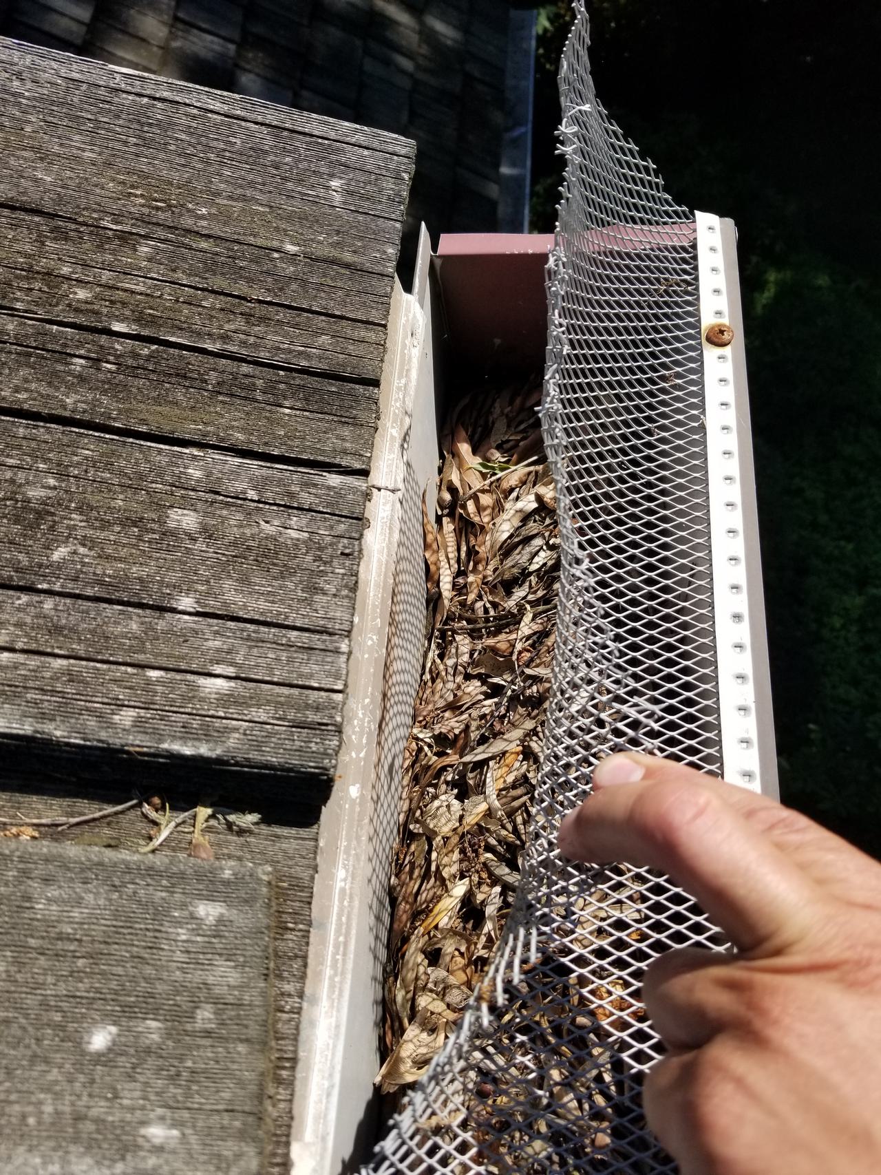 removing the roof from the roof