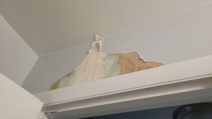 Roof leak