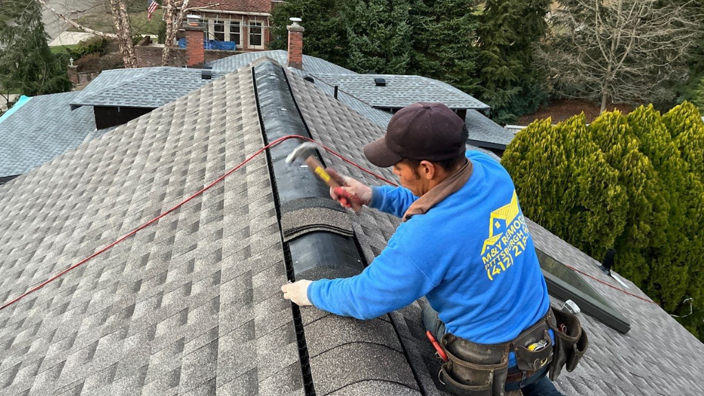 Common Roofing Problems to Watch out for This Spring