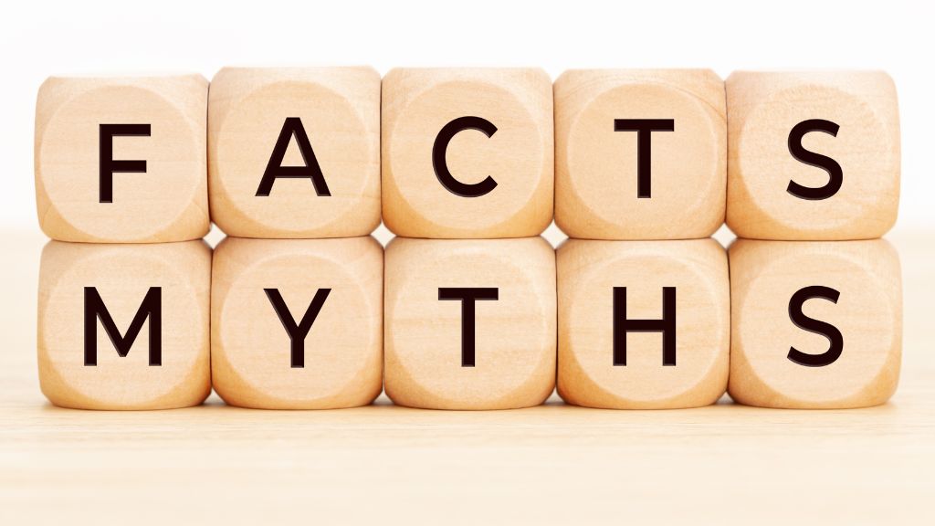Facts or myths sign made out of small blocks.